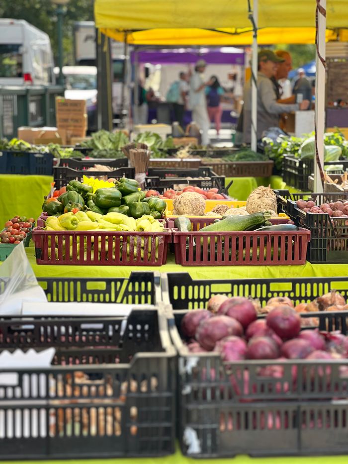Colorful assortment of fresh vegetables at a bustling outdoor farmers market.
