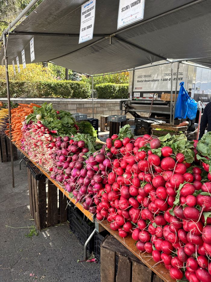 Vibrant array of radishes and carrots at a bustling New York farmers market.