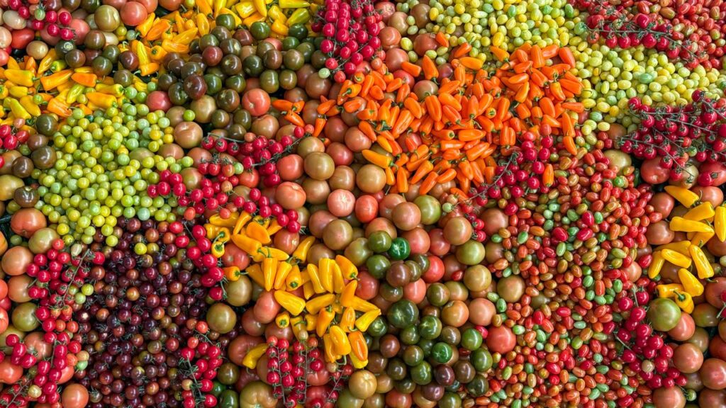 An overhead view of assorted fresh vegetables including tomatoes and peppers, vibrant and colorful.