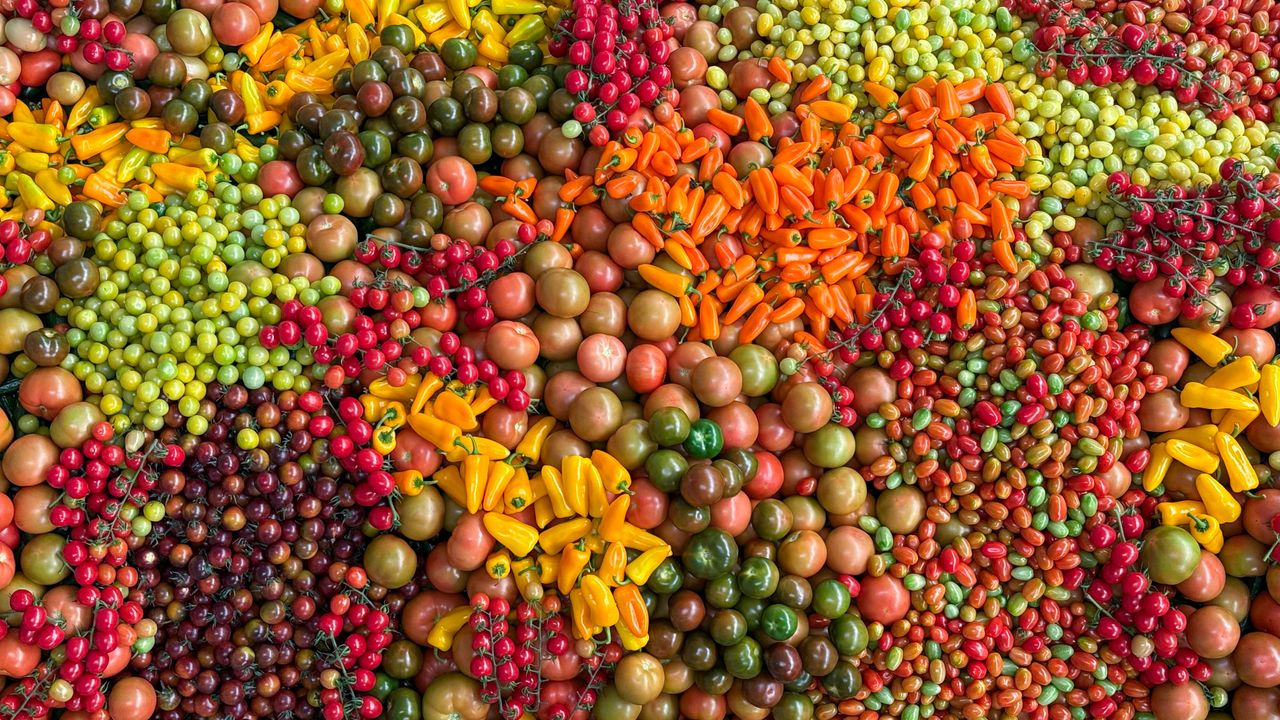 An overhead view of assorted fresh vegetables including tomatoes and peppers, vibrant and colorful.